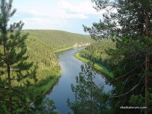 image-25.jpg