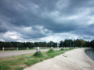 IMG_20160513_150611.jpg