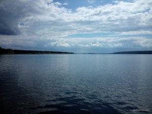 IMG_20160513_150647.jpg