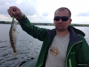 IMG_2367.JPG