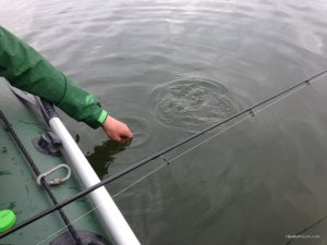 IMG_2378.JPG