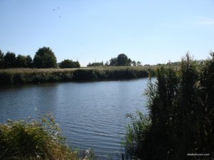 DSC02545.JPG