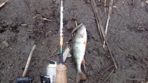 IMG_20160515_083218.jpg