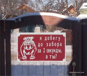image (2).jpg