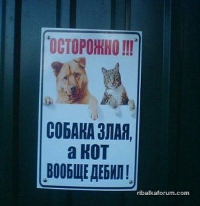 image (1).jpg