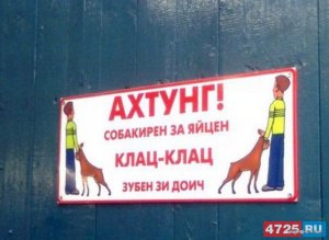 image (3).jpg
