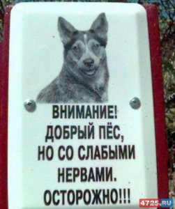 image (4).jpg
