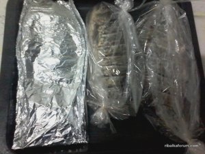 20160517_212056.jpg