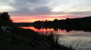 DSC_0244.JPG