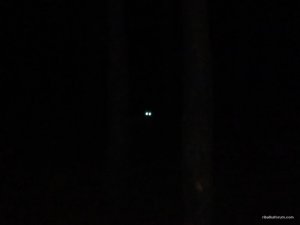 IMG_20160518_220502.jpg