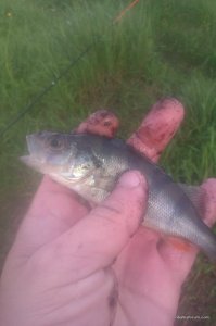 IMAG0630.jpg