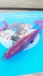 20160519_110817.jpg