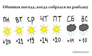 image-27.jpg