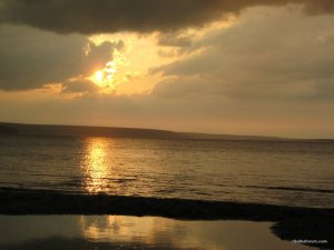 IMG_2375.jpg