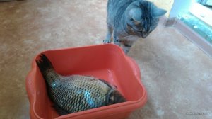 IMG_20160521_114836.jpg