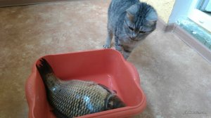 IMG_20160521_114839.jpg