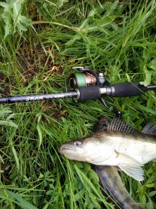20160521_095657.jpg