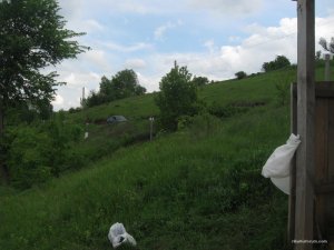 IMG_0316.JPG