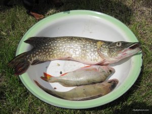 IMG_5947.JPG