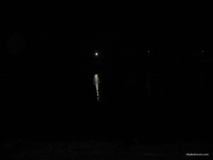 IMG_0330.JPG