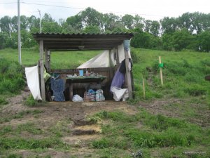 IMG_0335.JPG
