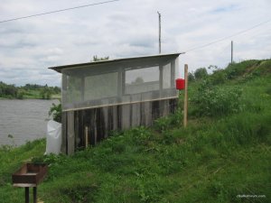 IMG_0345.JPG