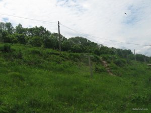 IMG_0350.JPG