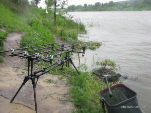 IMG_1215.JPG