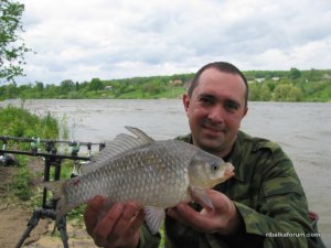 IMG_1230.JPG