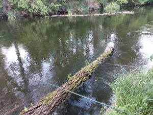 IMG_20160521_190745.jpg