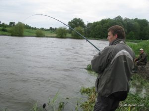 IMG_1222.JPG