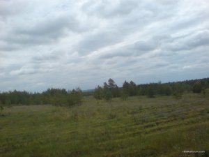 DSC02388.JPG