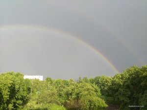 IMG_20160522_182055.jpg