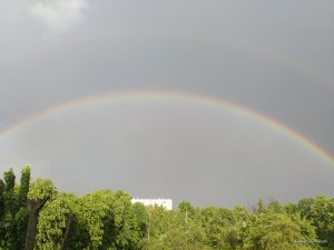 IMG_20160522_182155.jpg