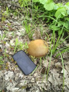 IMG_20160522_131503.jpg