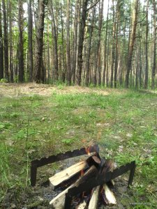 IMG_20160522_143459.jpg