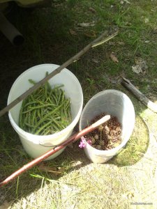 IMG_20160522_143527.jpg