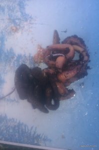 IMAG0631.jpg