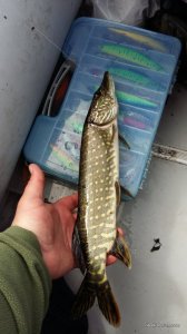 20160524_102140.jpg