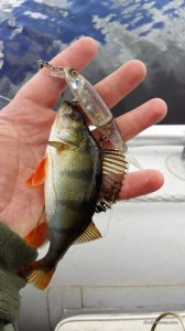 20160524_111819.jpg