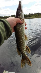 20160524_102122.jpg