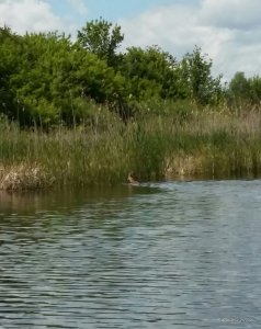 20160524_135709-1.jpg