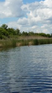 20160524_135704.jpg