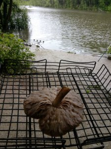 IMG_20160521_093031.jpg