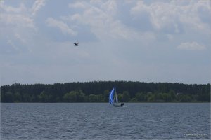 _MG_7218+.jpg