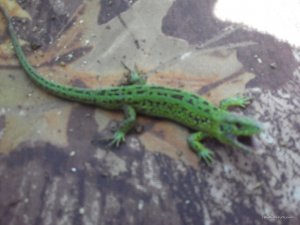 20160525120552.jpg