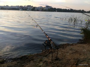 IMG_20160526_195639.jpg