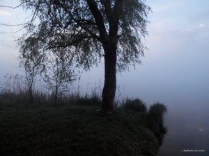 2016508053836.jpg