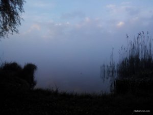 2016508053929.jpg