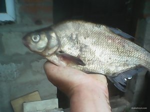 IMG_20160526_175201.jpg